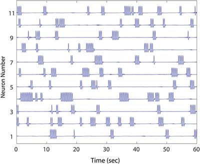 Striatal Network Models of Huntington's Disease Dysfunction Phenotypes